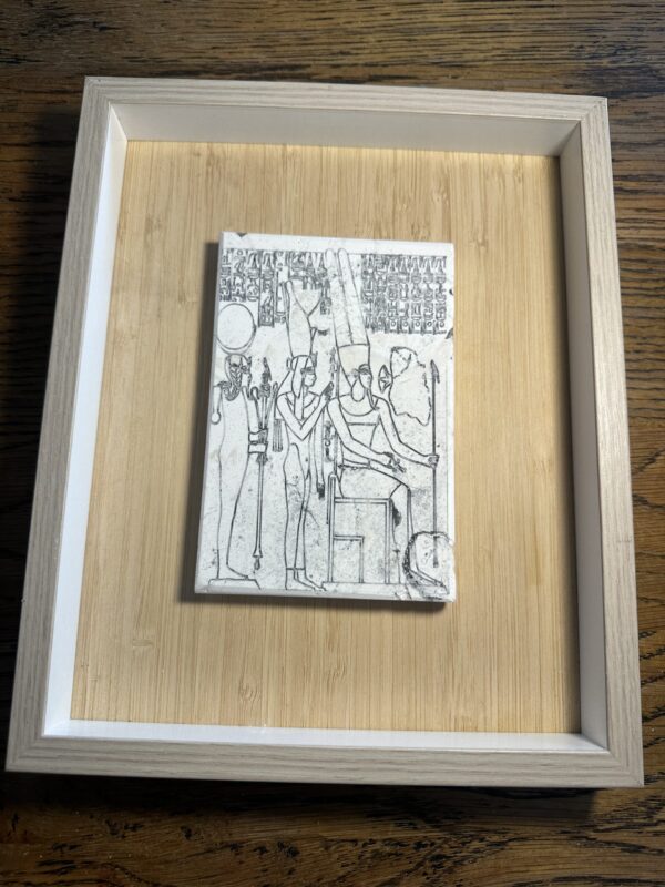 Vitruvian man in umber  large 30x20x12cm in box mount 37x29 3.5cm - Image 4