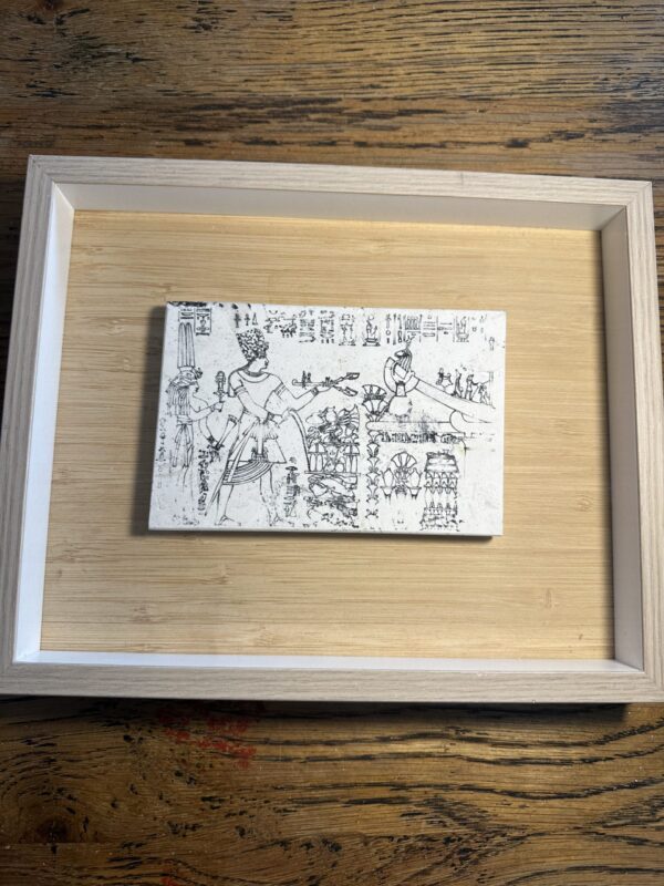 Vitruvian man in umber  large 30x20x12cm in box mount 37x29 3.5cm - Image 3