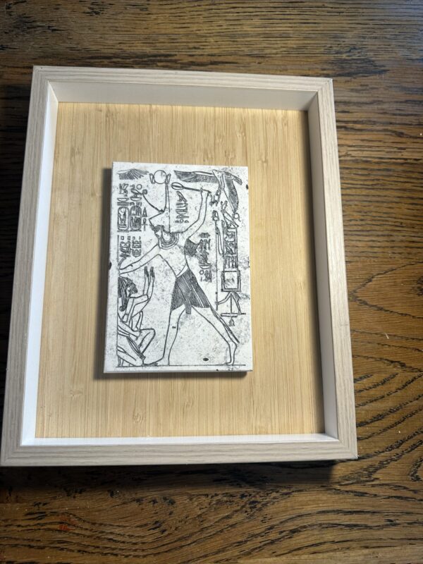 Vitruvian man in umber  large 30x20x12cm in box mount 37x29 3.5cm - Image 2