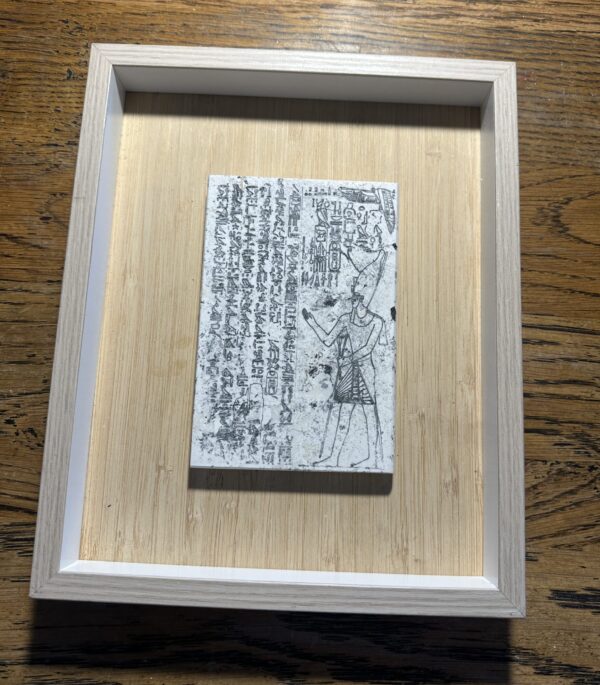 Vitruvian man in umber  large 30x20x12cm in box mount 37x29 3.5cm - Image 13