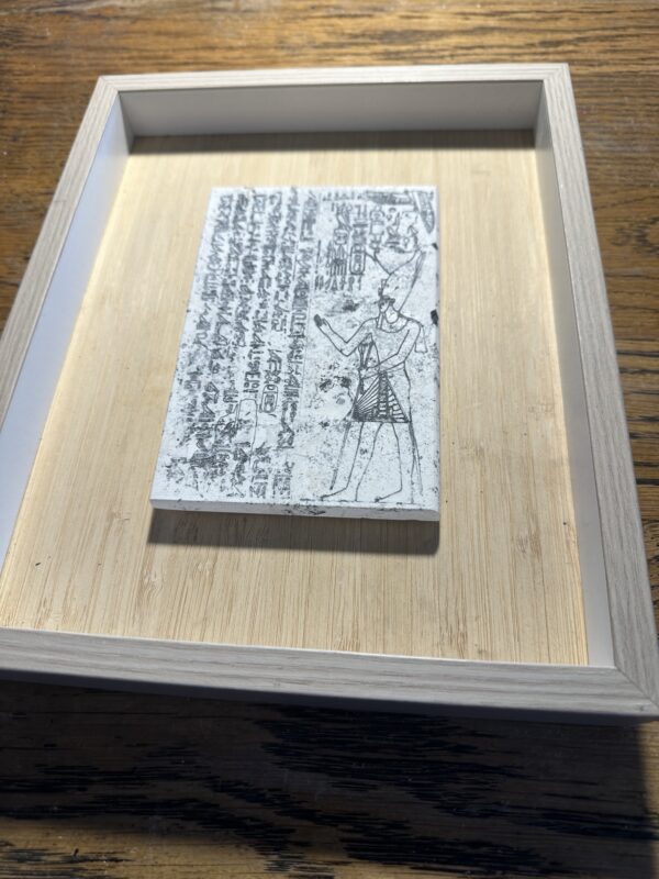 Vitruvian man in umber  large 30x20x12cm in box mount 37x29 3.5cm - Image 14