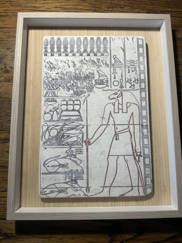Vitruvian man in umber  large 30x20x12cm in box mount 37x29 3.5cm - Image 12