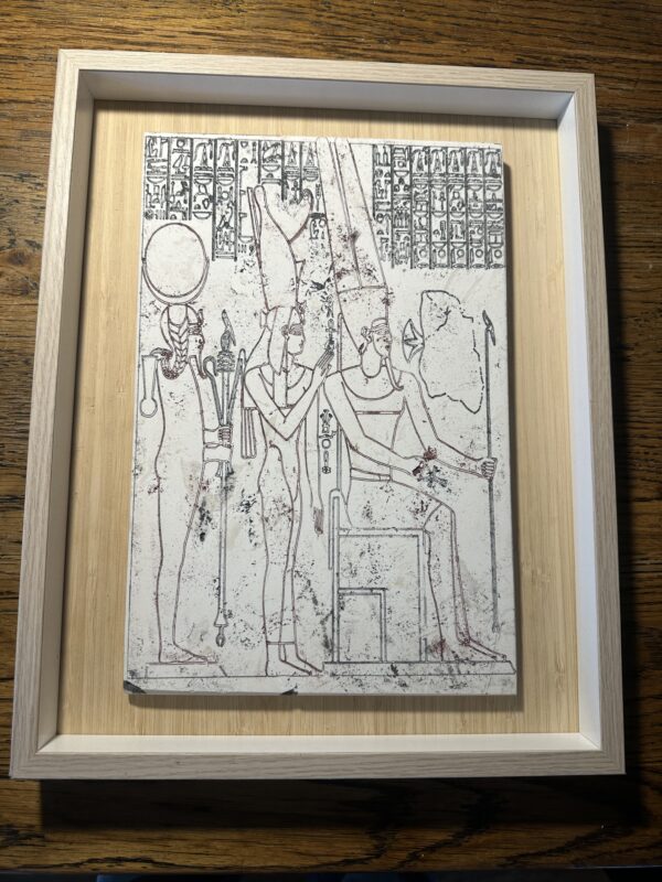 Vitruvian man in umber  large 30x20x12cm in box mount 37x29 3.5cm - Image 8