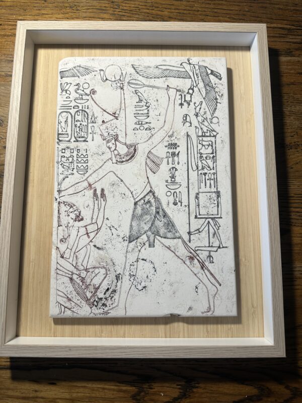 Vitruvian man in umber  large 30x20x12cm in box mount 37x29 3.5cm - Image 6