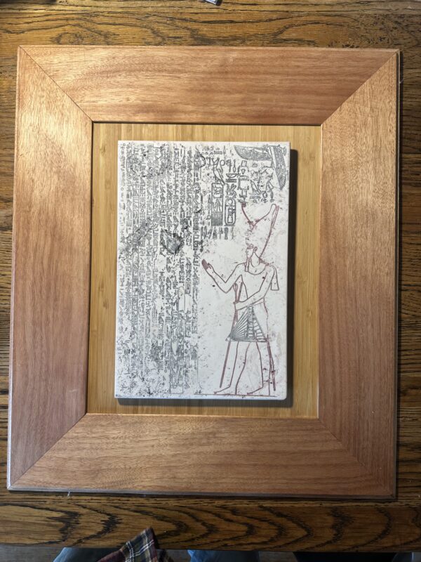 Vitruvian man in umber  large 30x20x12cm in box mount 37x29 3.5cm - Image 9