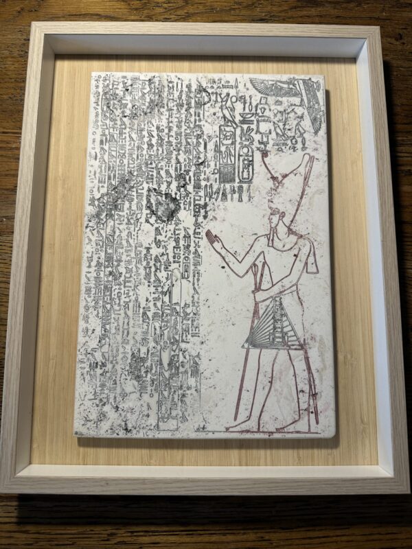 Vitruvian man in umber  large 30x20x12cm in box mount 37x29 3.5cm - Image 5