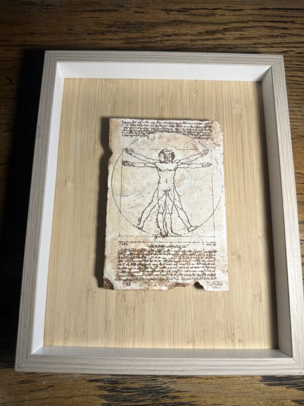 Vitruvian man in umber  large 30x20x12cm in box mount 37x29 3.5cm - Image 15